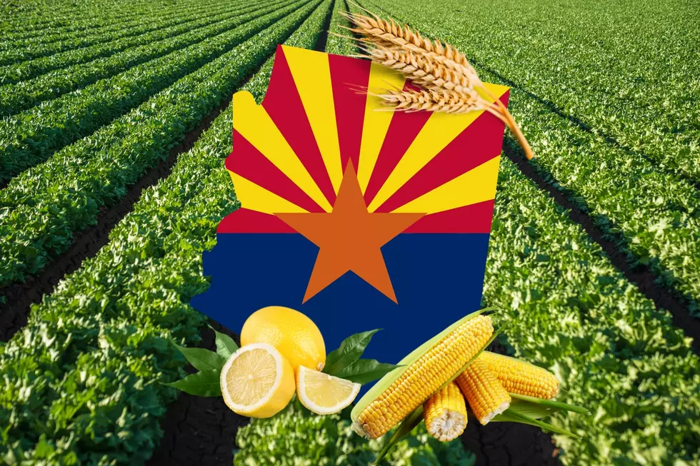 These are the 14 Most Valuable Crops Grown in Arizona