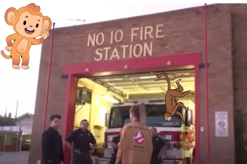 El Paso Fire Station #10 Is Haunted &#8211; By A Monkey