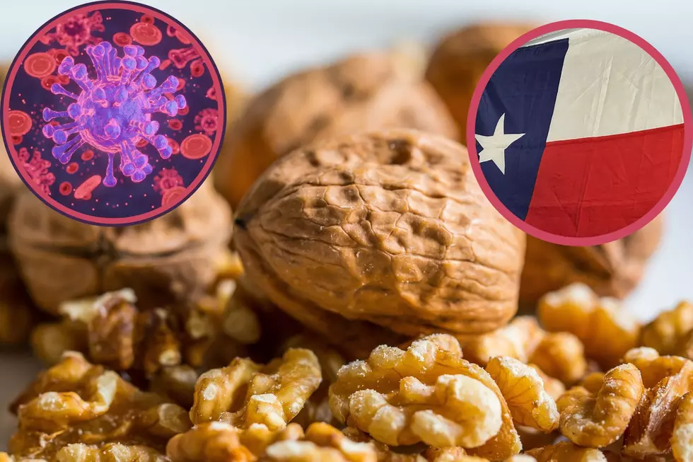 Be Careful Getting Walnuts in Texas, They Might Be Infected