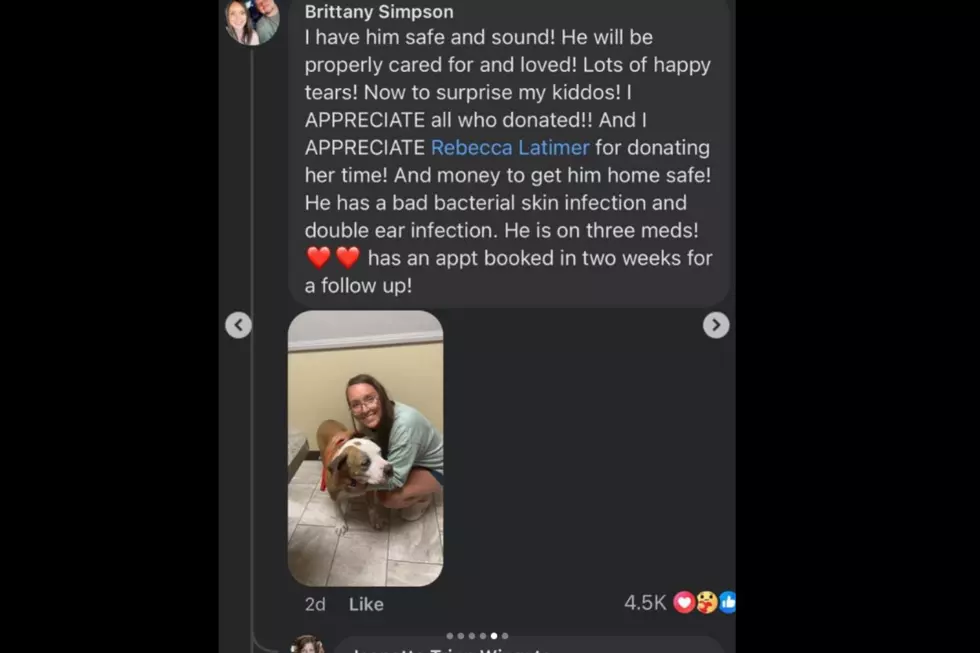 Amarillo, Texas dog reunites with owners seven years later