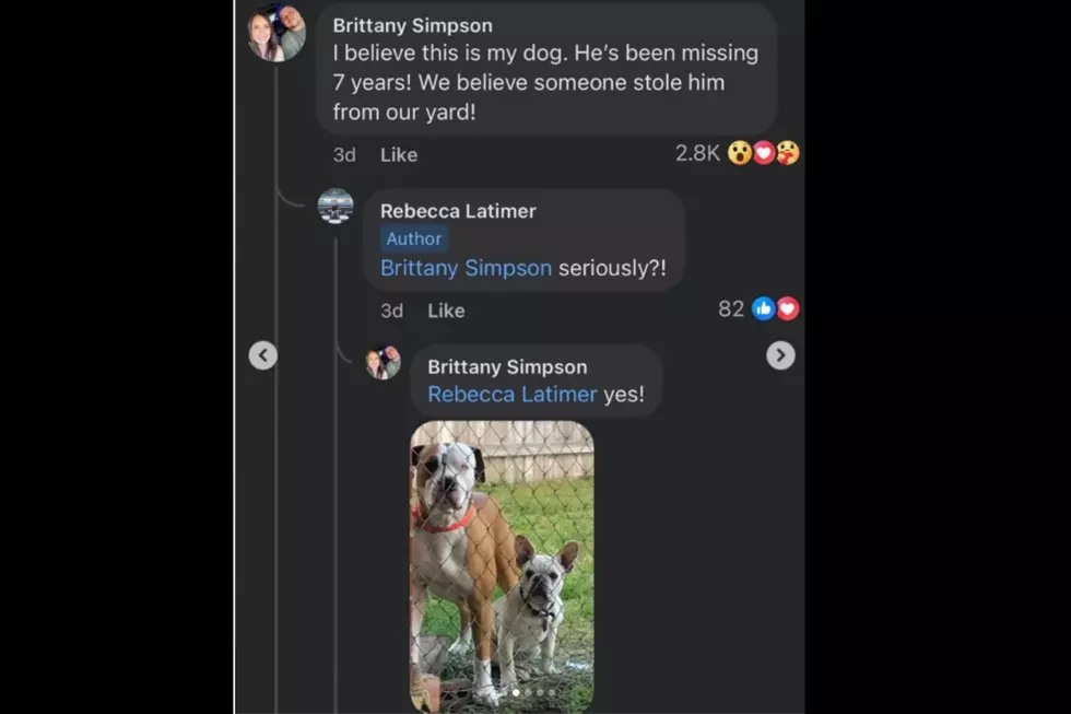 Amarillo, Texas dog reunites with owners seven years later