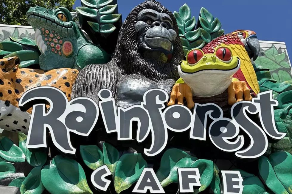Texas Has the Most Remaining Rainforest Café Locations