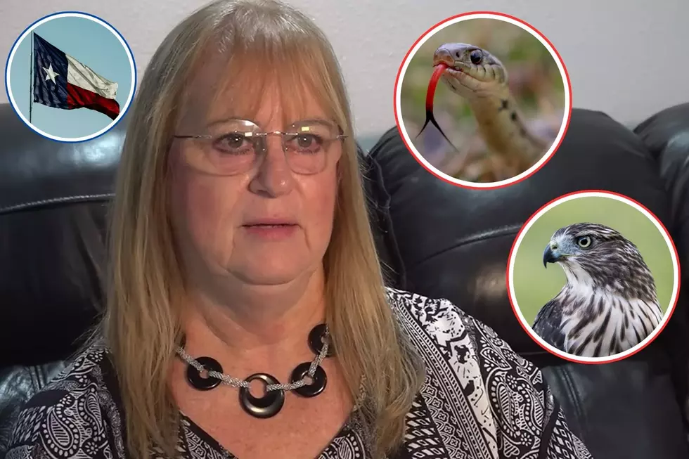 This Poor Texas Woman Was Attacked by a Hawk & a Falling Snake