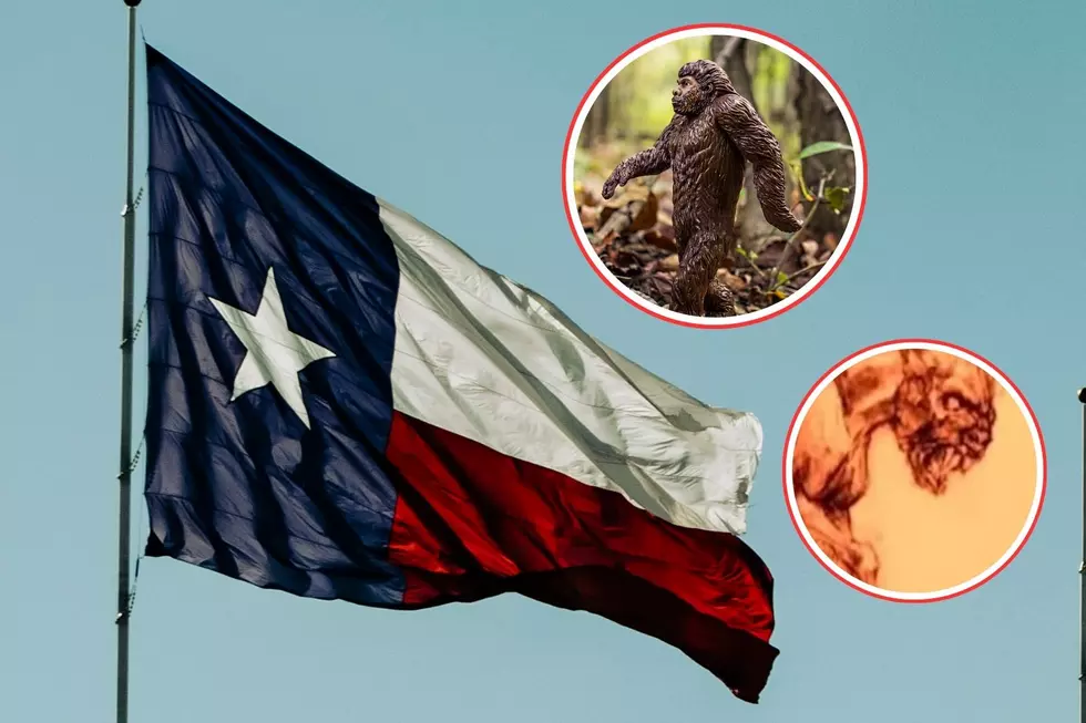 Fact or Fiction: These Mythical Creatures Once Roamed Texas
