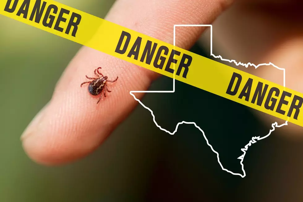 Texas One of Worst in America for Tick-Borne Illnesses