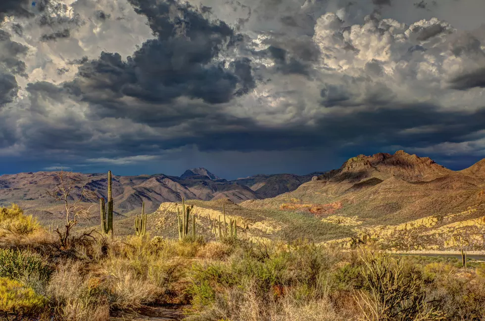 Monsoon in the Arizona Desert is a Real Thing