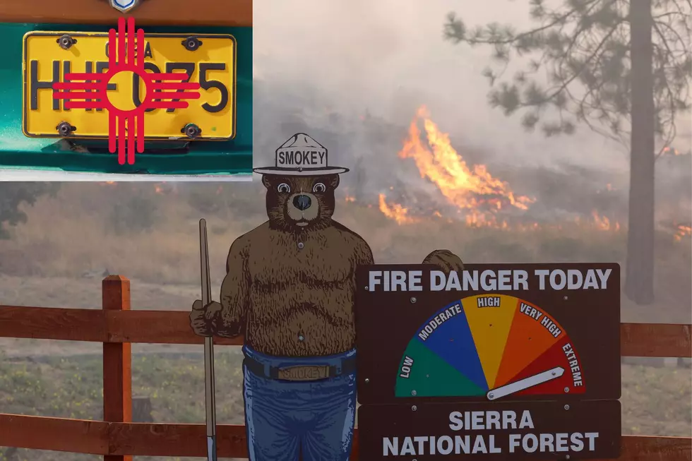 Smokey Bear License Plate $$ To Help Fight New Mexico Wildfires