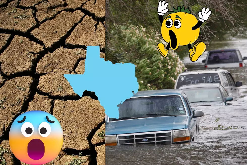 Experts &#8211; Extreme Weather To Become &#8220;Normal&#8221; In Texas