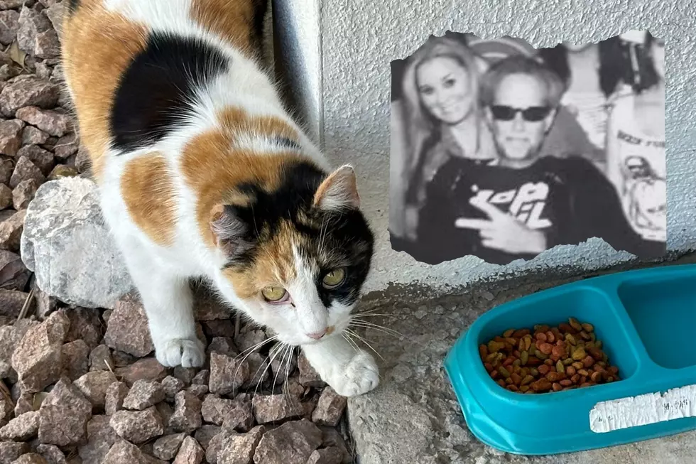 This Beloved Cat Became a Living Reminder of El Paso Radio Legend Scott Ronson