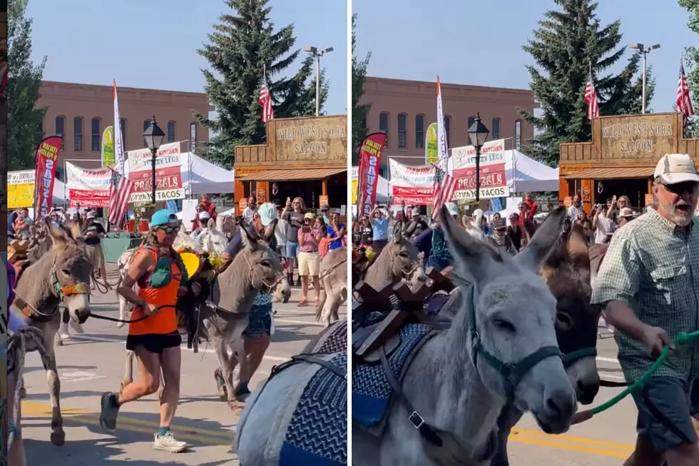 New Mexico&CloseCurlyQuote;s Wild Burro Race Is Returning to Ruidoso