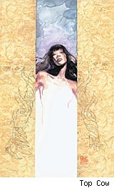 Witchblade Takeru Manga #6 cover