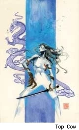 Witchblade Takeru Manga #7 cover