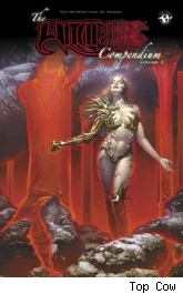 Witchblade Compendium Volume 2 Trade Paperback cover