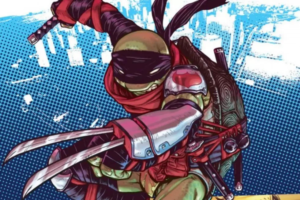 Buy This Book: &#8216;Teenage Mutant Ninja Turtles: City Fall&#8217;