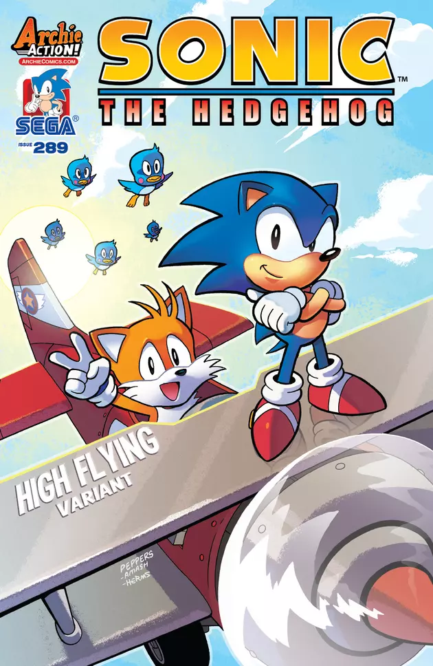 Fly The Friendly (And Explosive) Skies Of Mobius With Tails In &#8216;Sonic The Hedgehog&#8217; #289 [Preview]