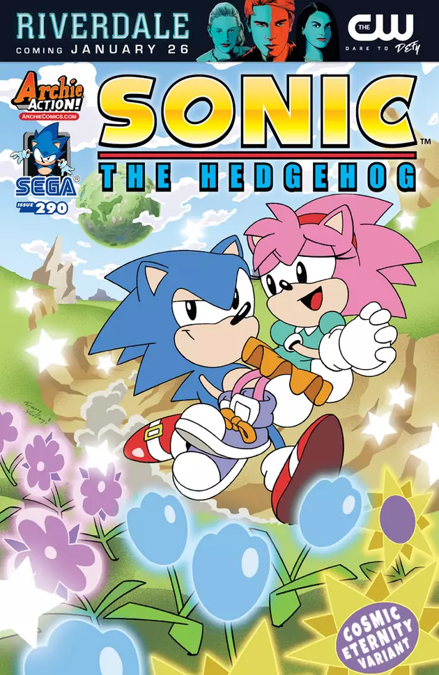 Meet Amy Rose Again In 'Sonic the Hedgehog' #290 [Preview]