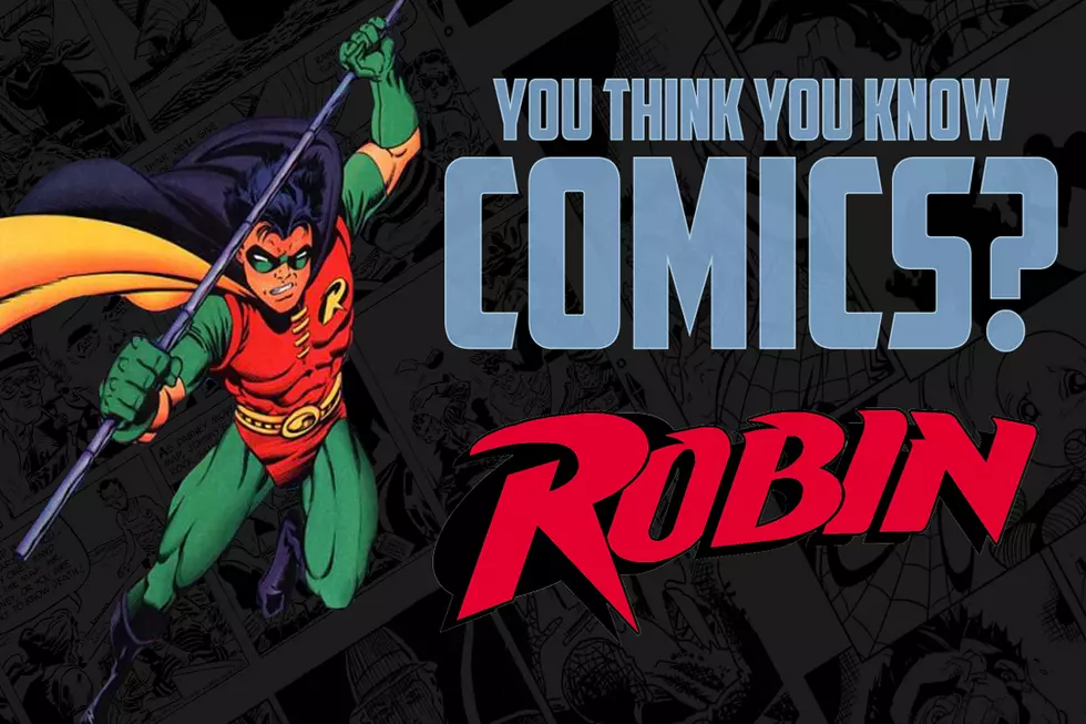 12 Facts You May Not Have Known About Robin