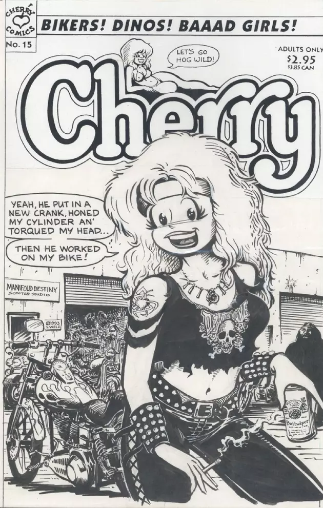 Biker Porn Comics - Is This A Sexist Comic Book? Revisiting 'Cherry Poptart'