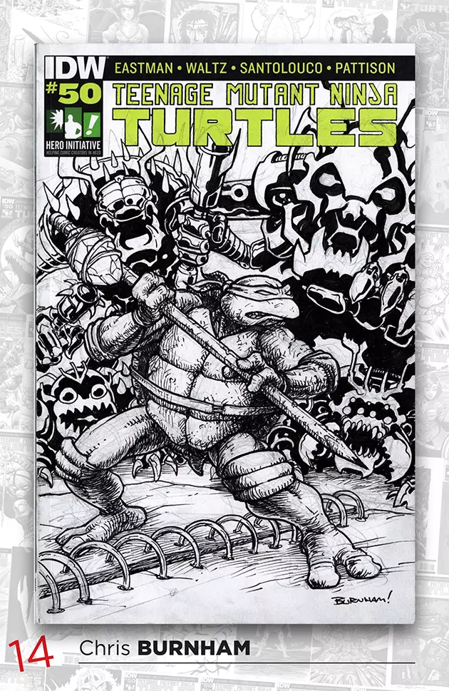 'Teenage Mutant Ninja Turtles: 100 Project' 