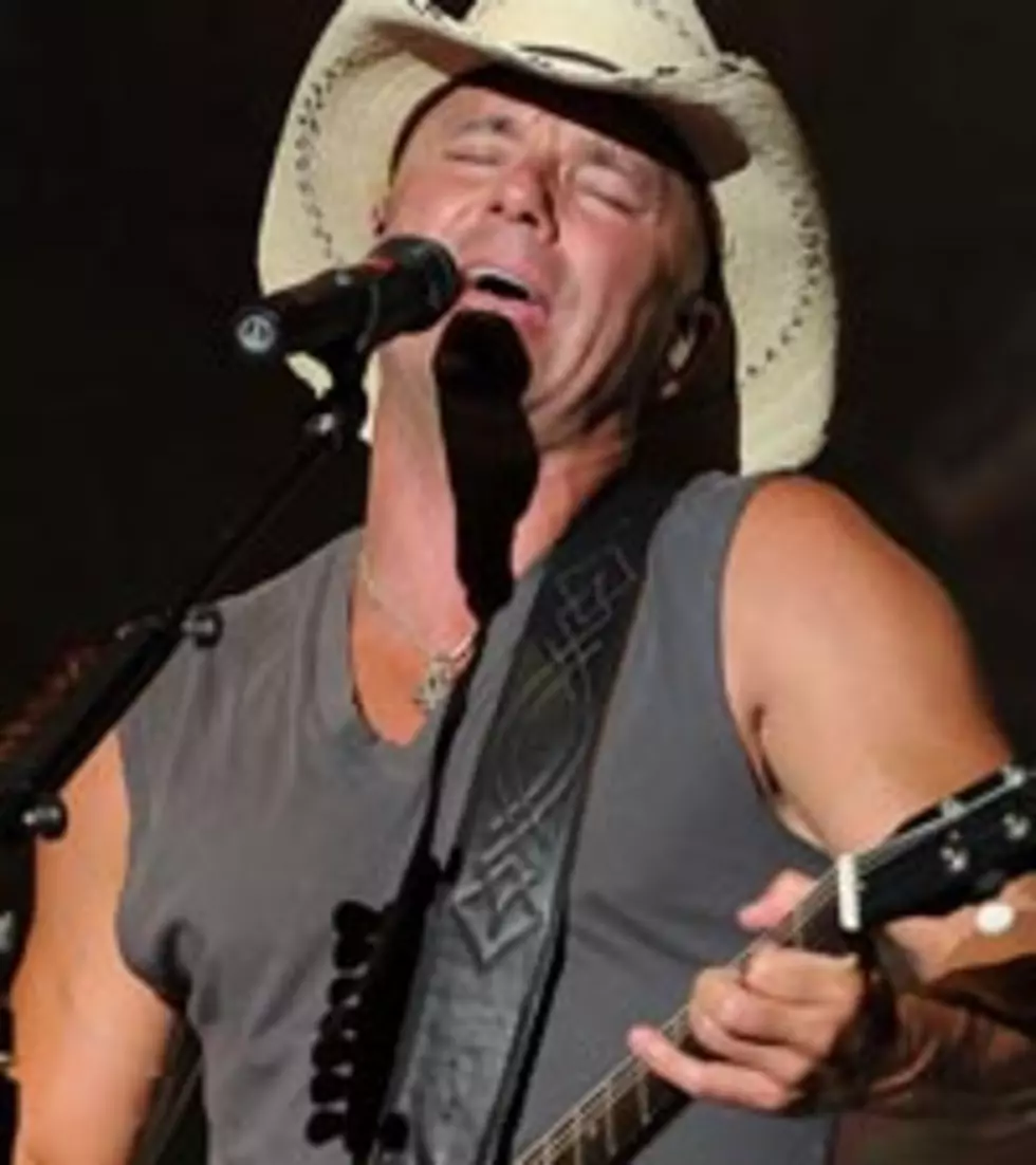 Kenny Chesney Added to Farm Aid 25 Lineup