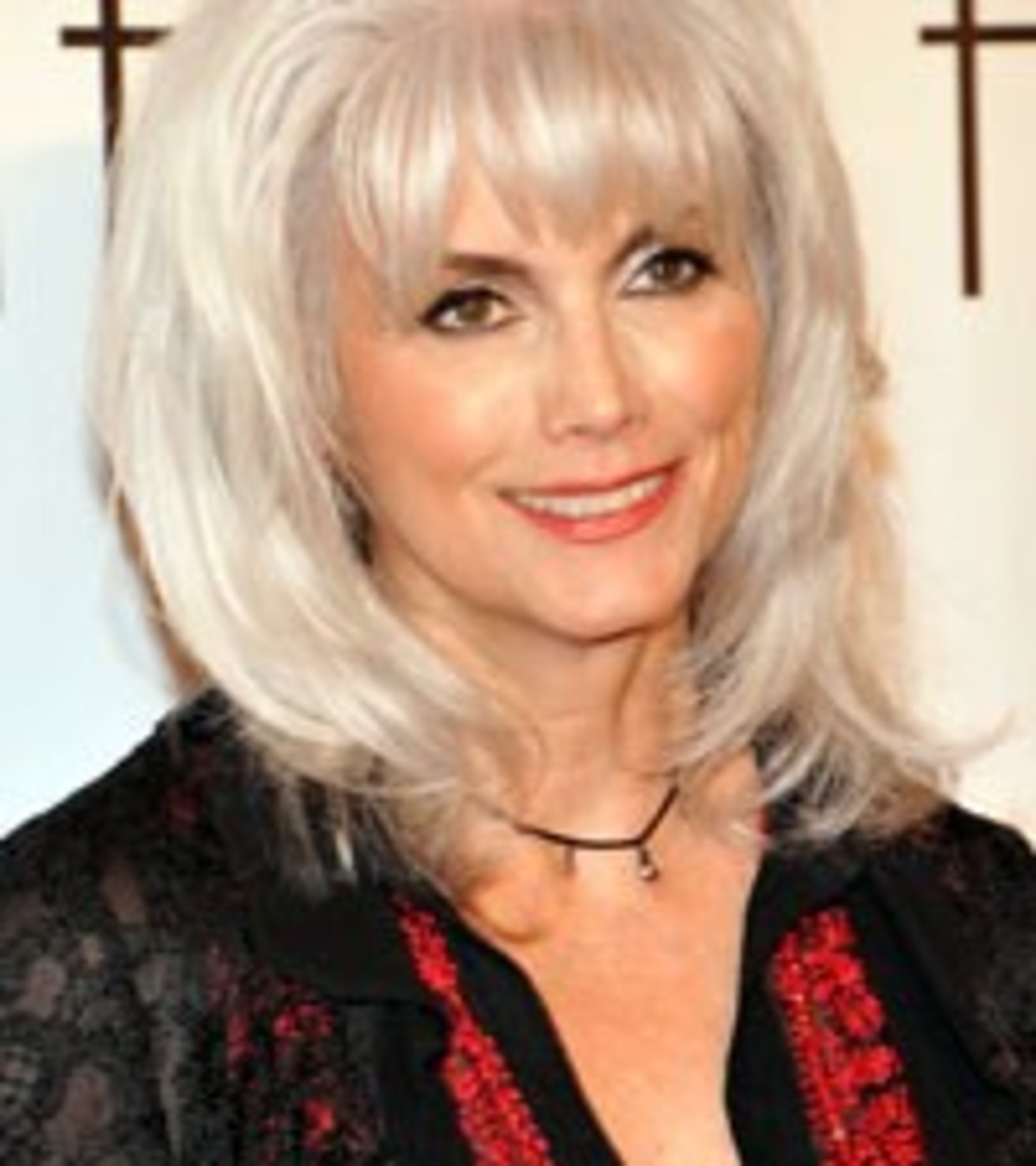Emmylou Harris, Car Accident: Country Legend Investigated for Alleged