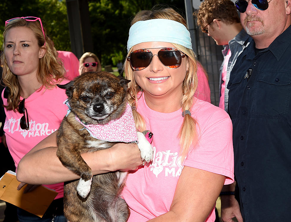 Miranda Lambert&#8217;s First-Ever MuttNation March Brings Puppies (and Pink!) to CMA Fest 2017 [PICTURES]