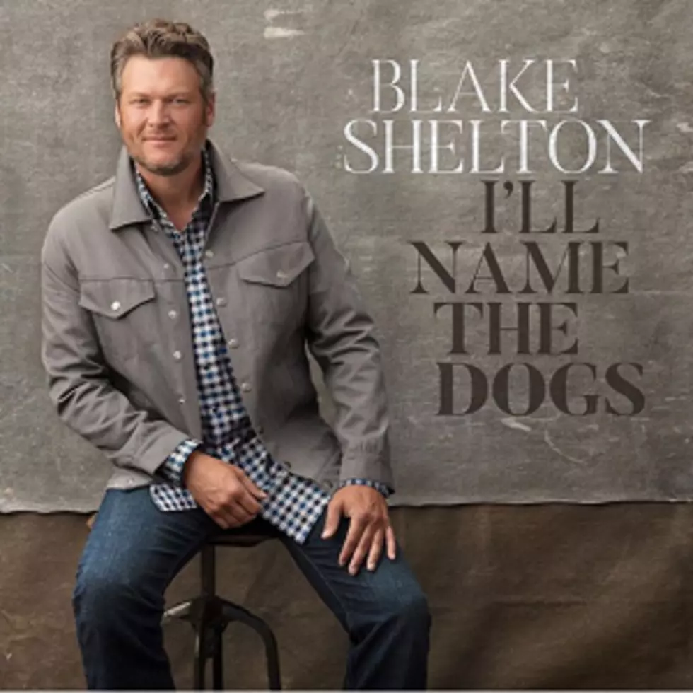 Blake Shelton Drops Brand-New Single, &#8216;I&#8217;ll Name the Dogs&#8217; [WATCH]