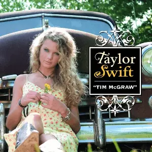 Diamond Art Taylor Swift - Temu
