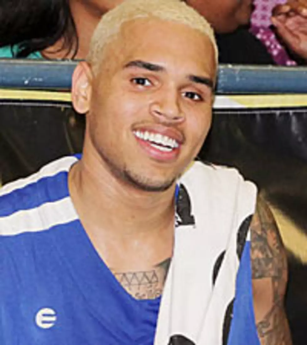 Chris Brown Plans 2 New Albums for 2011