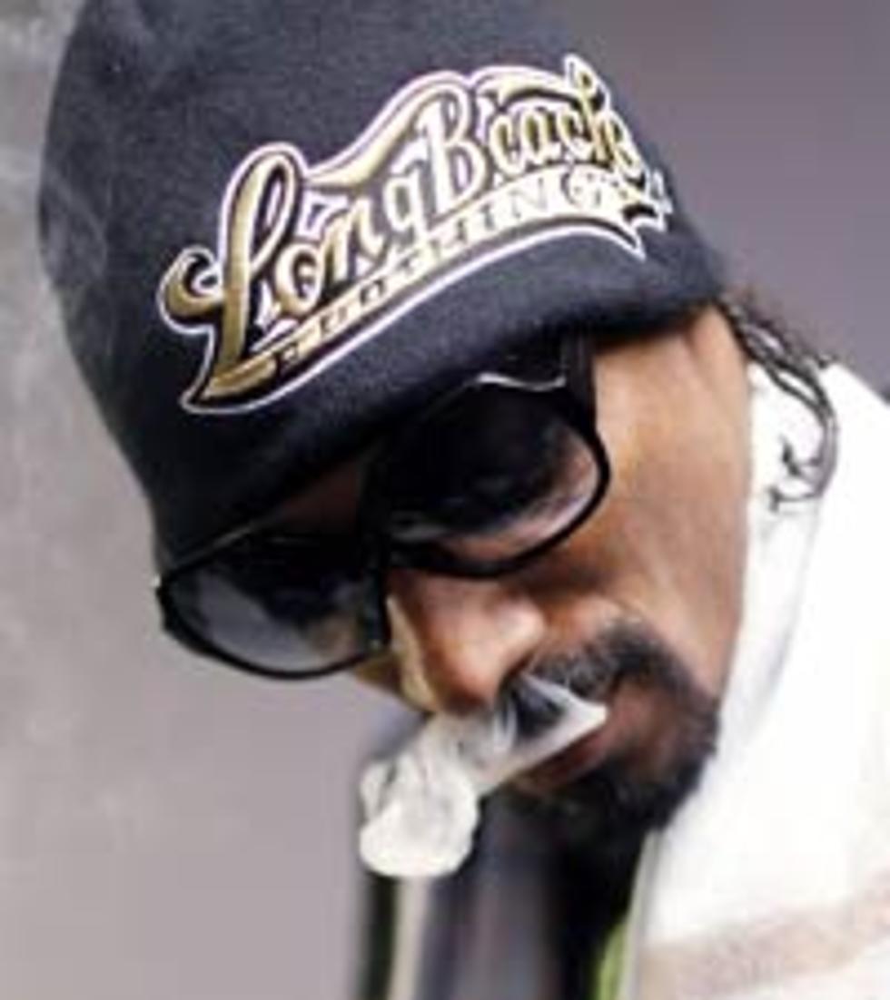 Snoop Dogg, Bob Sinclar ‘Wild Thing’ Remake Drops — Listen