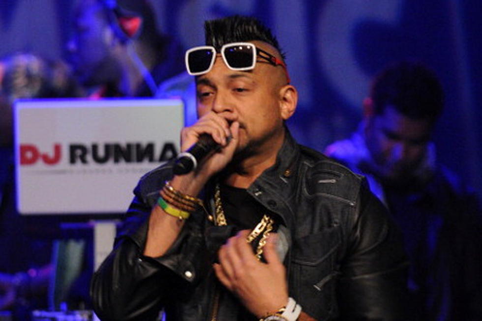 Volkswagen Super Bowl Advertisement: Sean Paul Cosigns Controversial Commercial