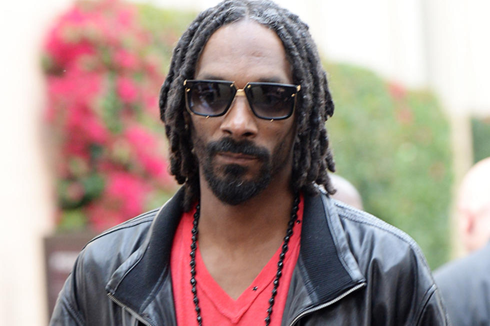 Snoop Lion Talks &#8216;Reincarnated,&#8217; No Guns Allowed Campaign and Sports Management Agency