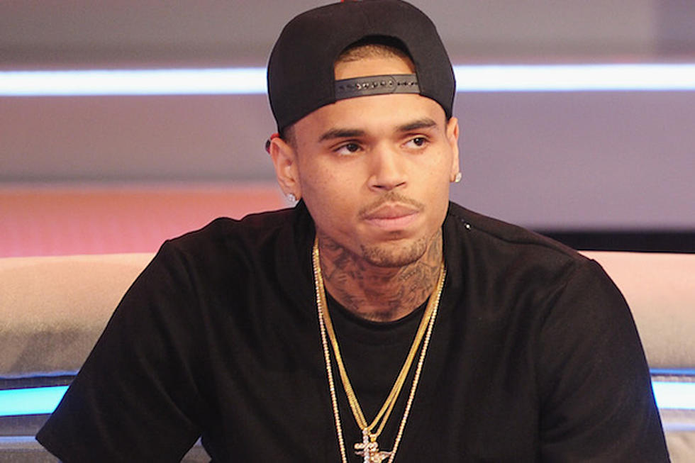 Chris Brown Could Avoid Prison Thanks to Secret Service Agent