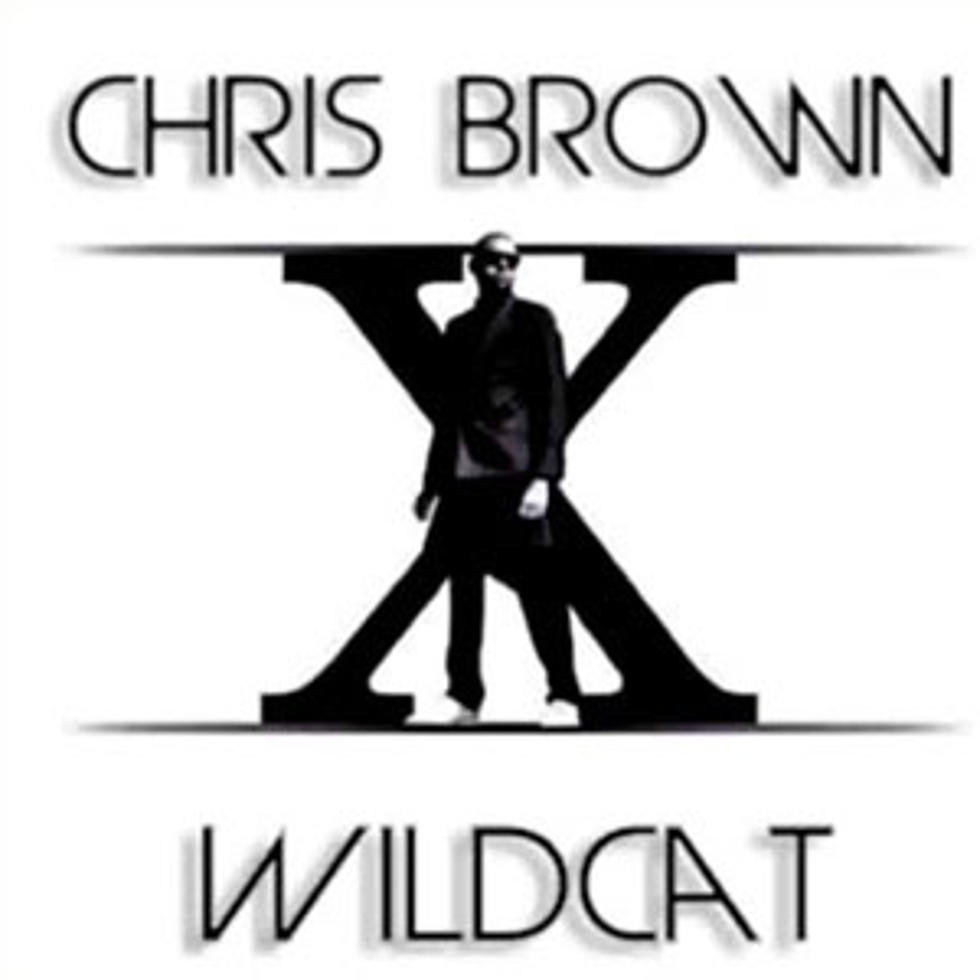 Chris Brown Gets Metaphorical on ‘Wildcat’