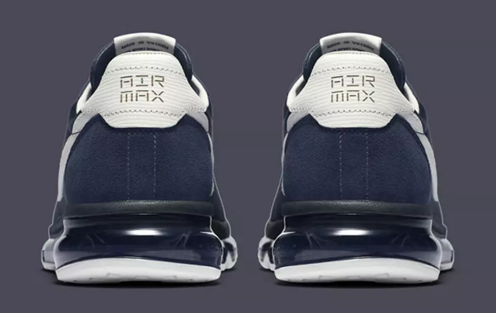 Nike Air Max LD-Zero Hiroshi Fujiwara
