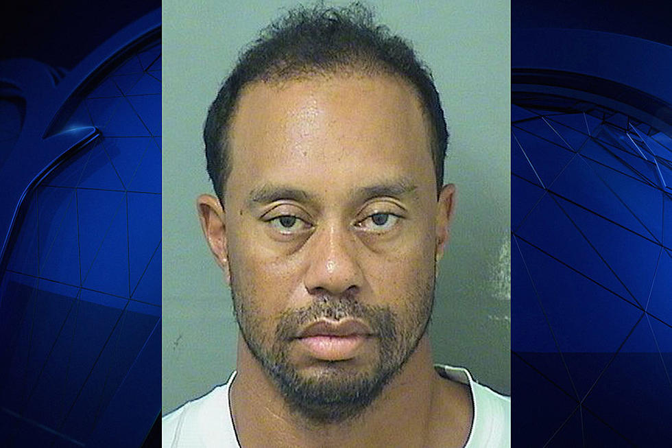 Tiger Arrested for DUI