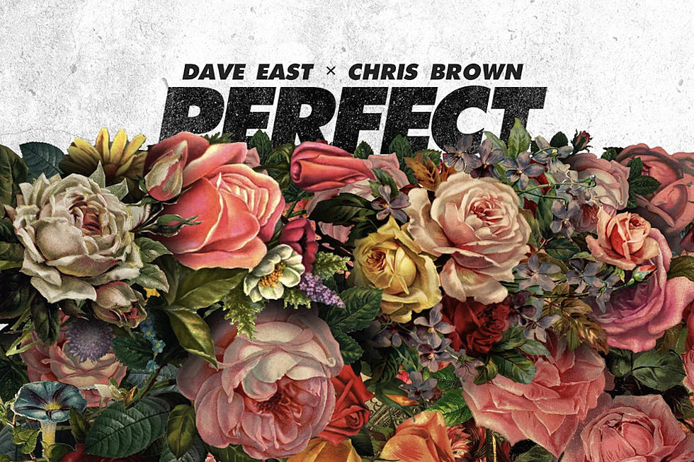 Dave East and Chris Brown Serenade the Ladies on 'Perfect' [LISTEN]