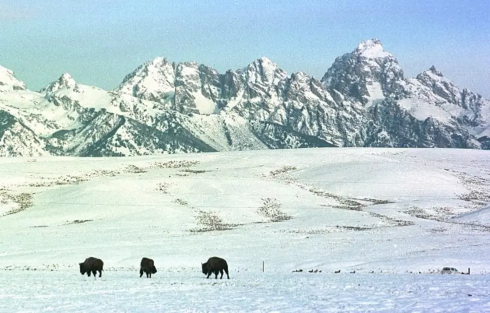 Four Montana Stereotypes 