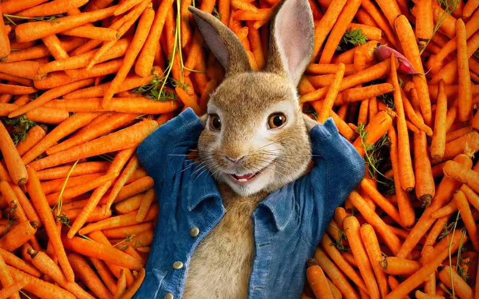 The new Peter Rabbit movie has some