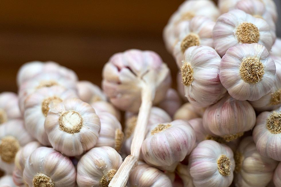 National Garlic Day!