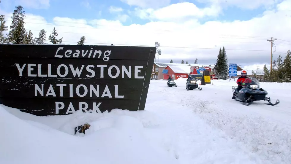 Montana Volunteers Clean Up Yellowstone