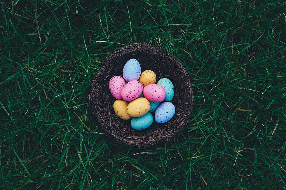 The Best Places in Billings to Hunt for the Easter Bunny's Eggs