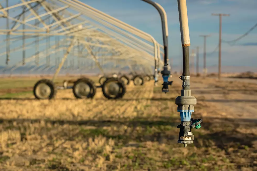 Are Montana's Drought Woes Being Drowned Out by Spring Rain?