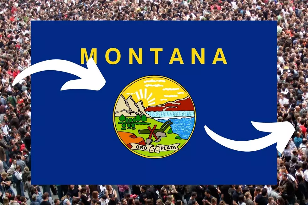 You Won’t Believe How Many Montanans Aren’t Even From Big Sky Country
