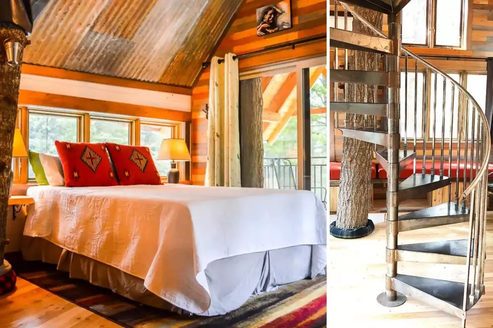 Why Stay in a Hotel? Stay in This Foresty Montana Airbnb Instead