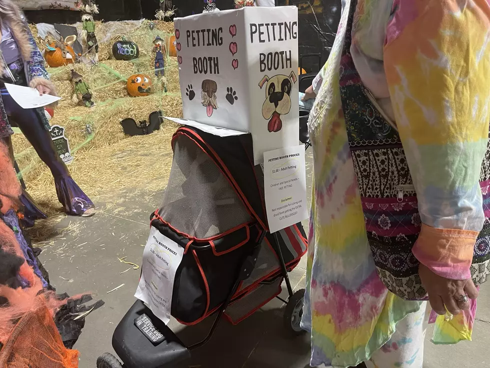 attachment-petting booth dog
