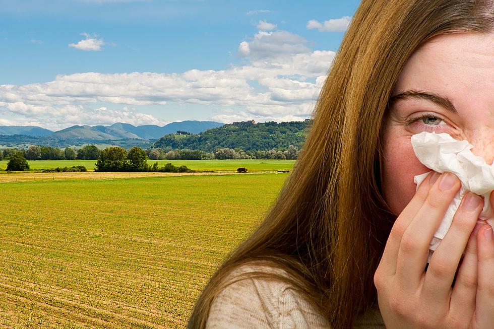 Six Ways to Find Relief from Your Seasonal Montana Allergies
