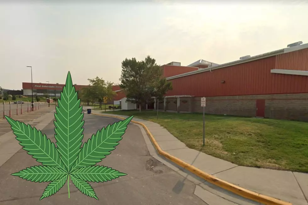 First Big Cannabis Industry Show Ever at MetraPark is Coming July 8-9