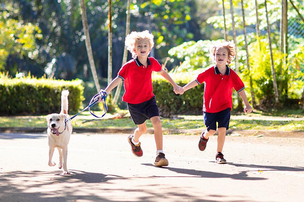 Billings’ Dog Tag Buddies Hosting Pet Walking 101 for Kids