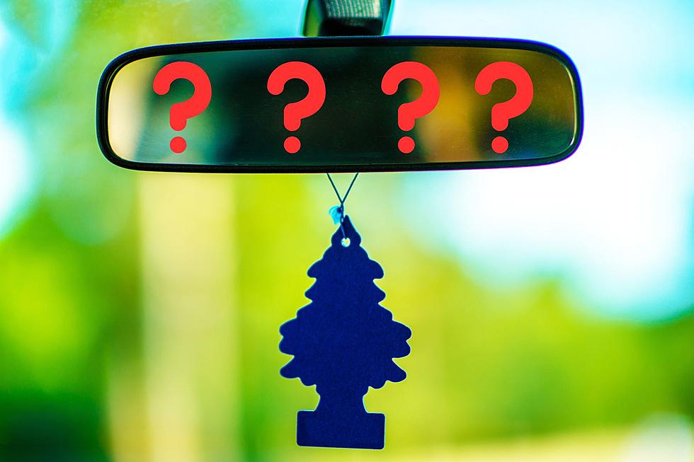 Are Car Air Fresheners Hanging on Your Mirror Legal in Montana?